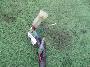 XCb`{bNX