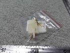 ̑
